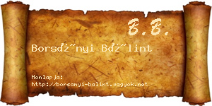 Borsányi Bálint névjegykártya